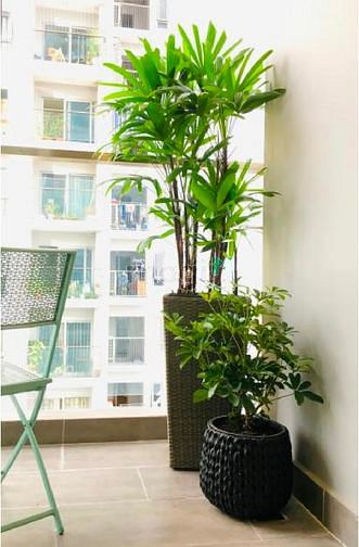 Hình ảnh CHCC Rivera Park Q.10 75m2- 1 tỷ 960 triệu.Tầng 9