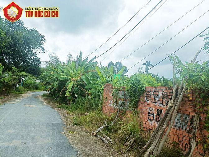 Hình ảnh Bán đất đường Lâm Thị Giữa - 1066m2 - 20x53 - 290m2 thổ cư - Củ Chi