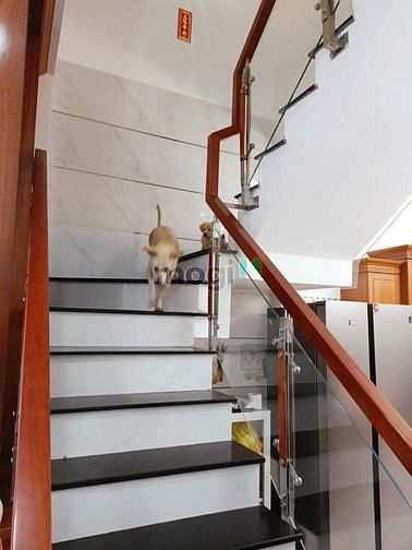 Hình ảnh Ly hôn bán gấp nhà ĐẶNG VĂN BI/THỦ ĐỨC 62M2/ 1TY050 SHR