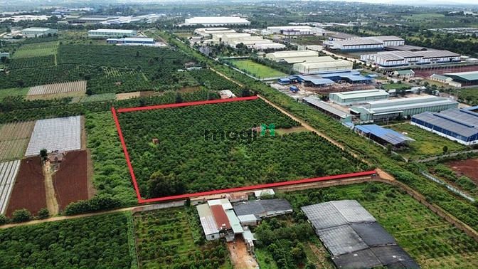 Hình ảnh Mình Có Lô Đất View Hồ Hơn 3.000 m2 Đất Hồng -  Tp Pleiku - Gia Lai
