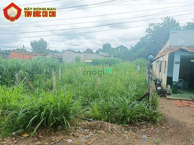 Hình ảnh Bán đất đường 793 - 427m2 - 7x61 - 150m2 thổ cư - xã An Phú - Củ Chi