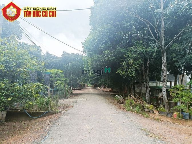 Hình ảnh Bán đất đường 793 - 427m2 - 7x61 - 150m2 thổ cư - xã An Phú - Củ Chi