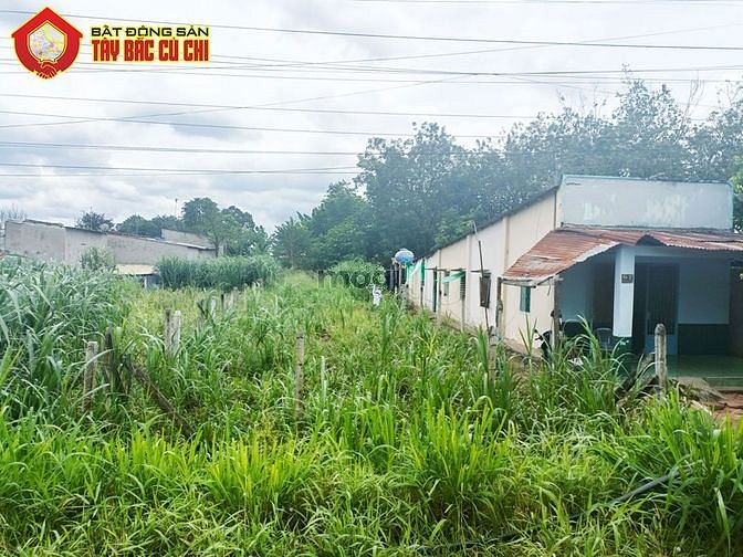 Hình ảnh Bán đất đường 793 - 427m2 - 7x61 - 150m2 thổ cư - xã An Phú - Củ Chi
