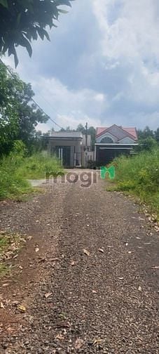 Hình ảnh bán đất khu nam công an p tiến thành tp đồng xoài