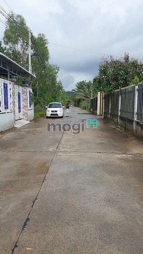 Hình ảnh Mua vàng thì sợ vàng rơi mùa nhà mua đất đời đời ấm no.