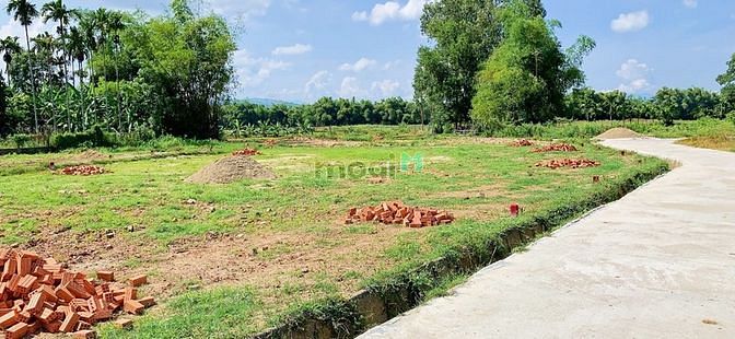 Hình ảnh Đất nền điện tiến chỉ từ 6xxTr/Nền