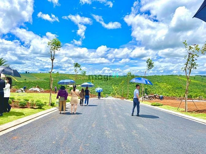 Hình ảnh PALM GARDEN ( Đất nền Bảo Lộc)