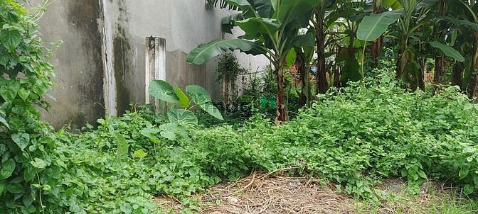 Hình ảnh Bán đất thổ lô góc 2MT đường Gò Cát, Quận 9. Gía 4.3 tỷ. Sổ hồng