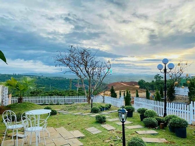 Hình ảnh Đất Thổ Cư Bảo Lộc. DT: 1000m2 Giá 2,6 tỷ. Đường 8M