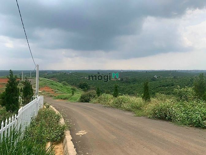 Hình ảnh Đất Thổ Cư Bảo Lộc. DT: 1000m2 Giá 2,6 tỷ. Đường 8M