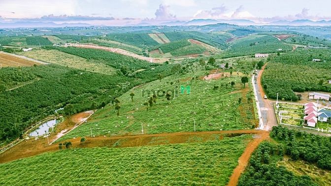 Hình ảnh Đất Thổ Cư Bảo Lộc. DT: 1000m2 Giá 2,6 tỷ. Đường 8M