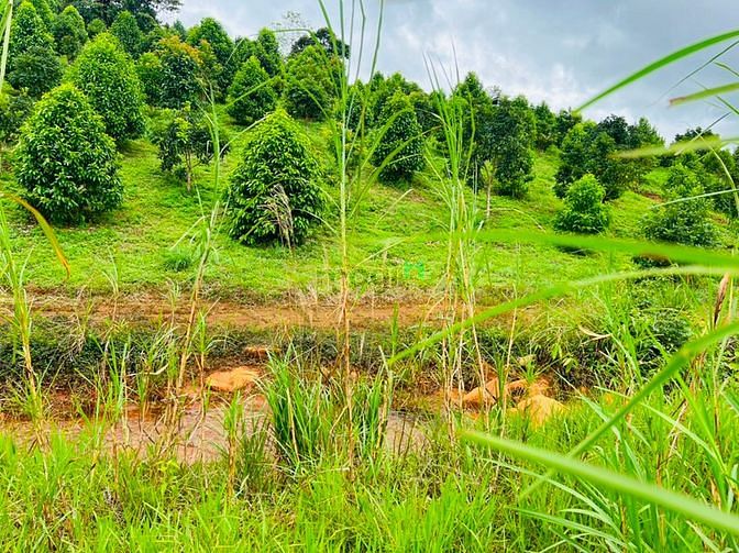 Hình ảnh Bán lô đất view suối hồ cực chất, MT đường Yến Hồ