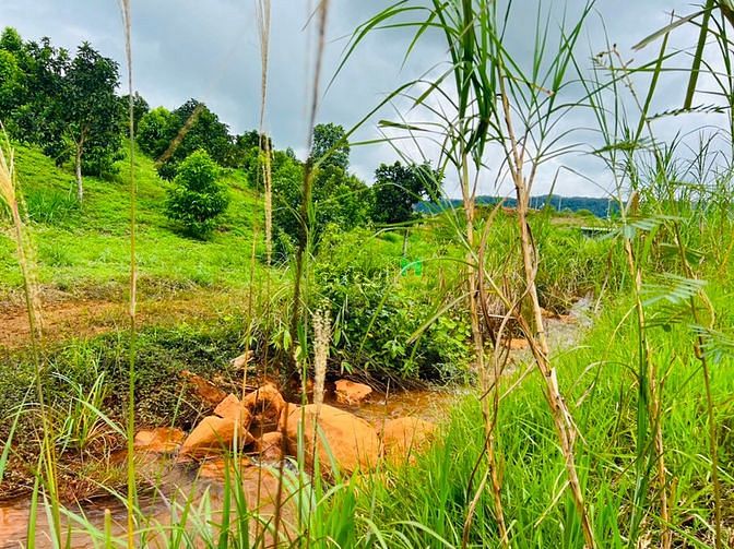 Hình ảnh Bán lô đất view suối hồ cực chất, MT đường Yến Hồ