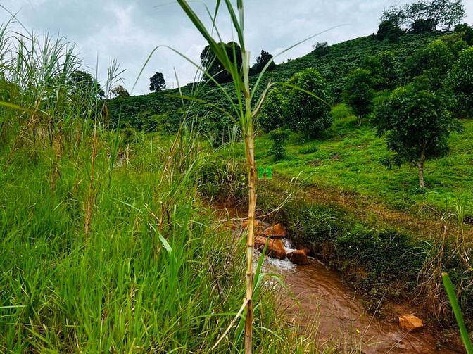 Hình ảnh Bán lô đất view suối hồ cực chất, MT đường Yến Hồ