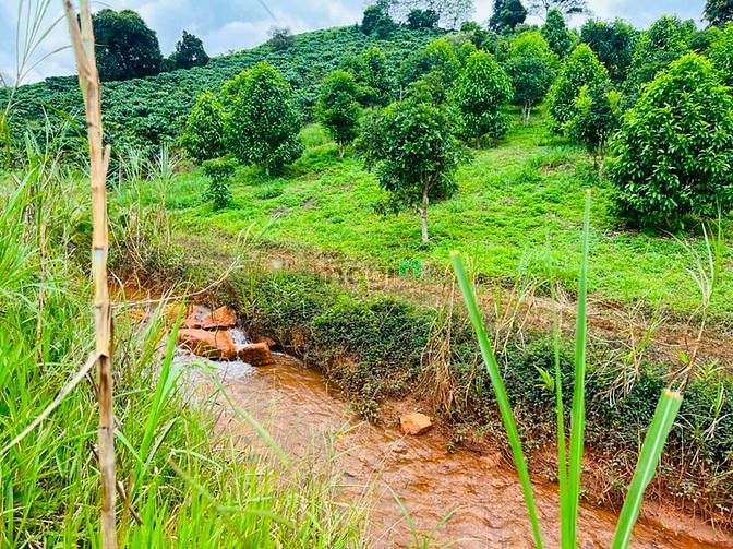 Hình ảnh Bán lô đất view suối hồ cực chất, MT đường Yến Hồ