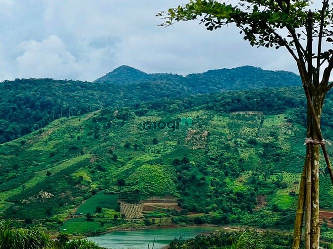 Hình ảnh Bán lô đất view suối hồ cực chất, MT đường Yến Hồ