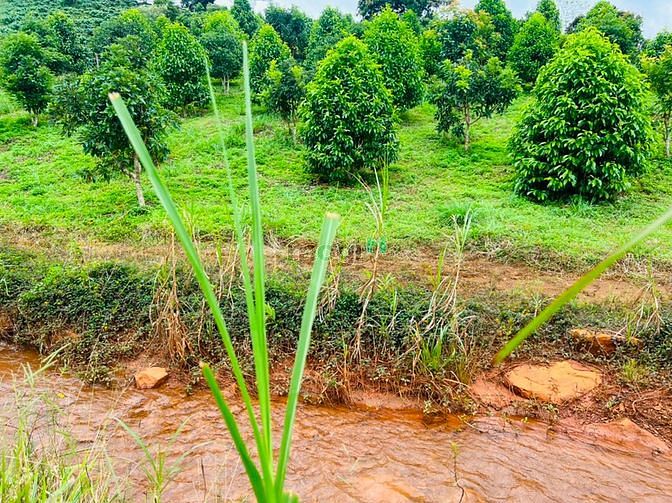 Hình ảnh Bán lô đất view suối hồ cực chất, MT đường Yến Hồ