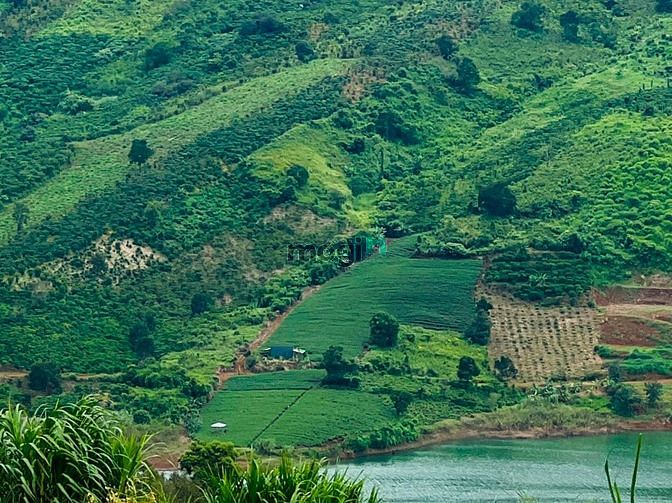 Hình ảnh Bán lô đất view suối hồ cực chất, MT đường Yến Hồ