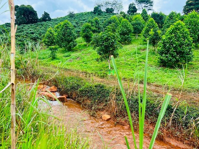 Hình ảnh Bán lô đất view suối hồ cực chất, MT đường Yến Hồ