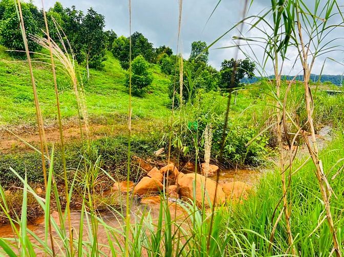 Hình ảnh Bán lô đất view suối hồ cực chất, MT đường Yến Hồ