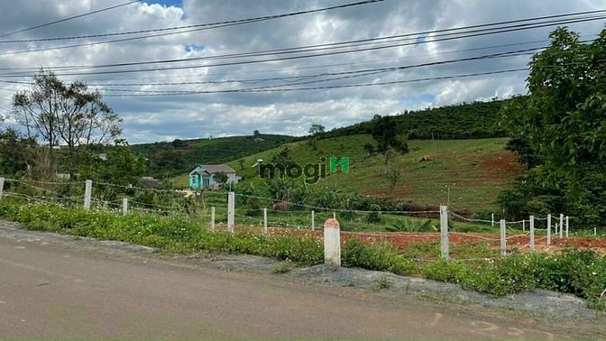Hình ảnh Bán nền đất thổ cư Mặt tiền Tôn Thất Thuyết, Bảo Lộc