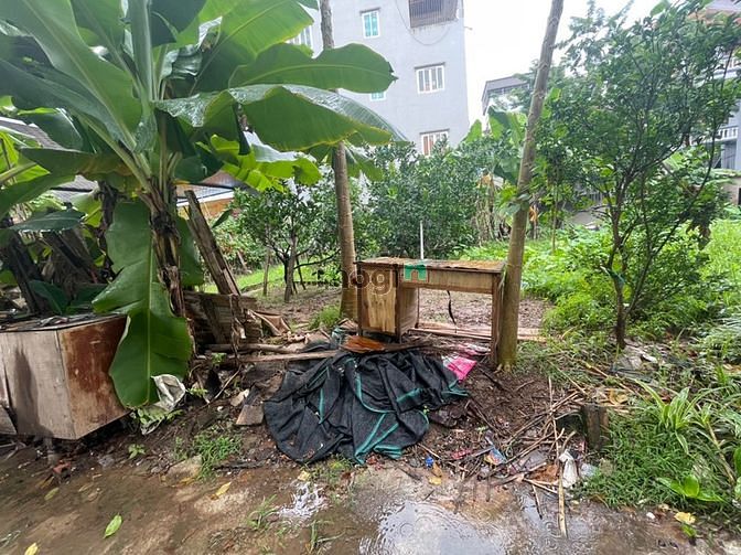 Hình ảnh Bán đất Phú Diễn 90m2, ô tô tải vào đất, ở hoặc xây CCMN thì quá đẹp
