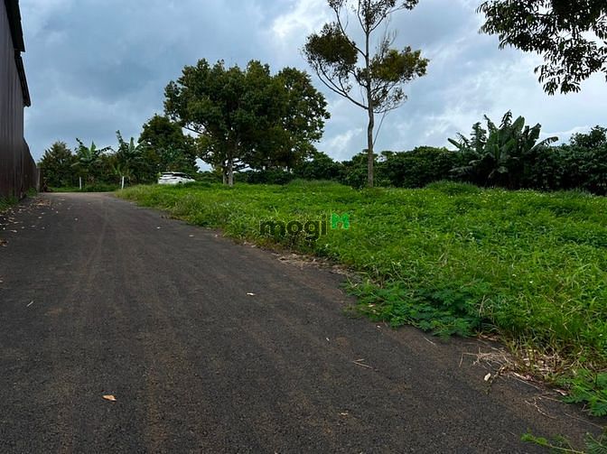 Hình ảnh Đất đường nhựa 4 sào, F Lộc Sơn TP Bảo Lộc