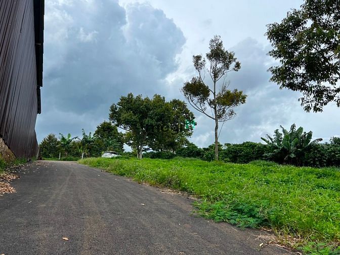 Hình ảnh Đất đường nhựa 4 sào, F Lộc Sơn TP Bảo Lộc