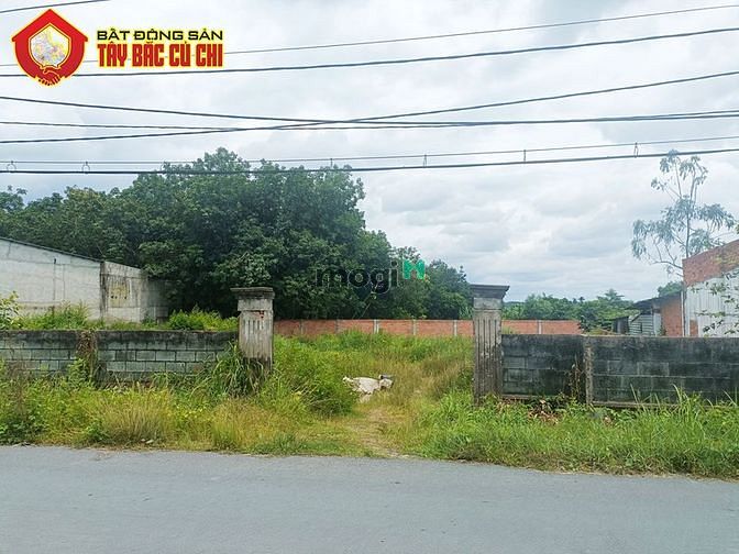 Hình ảnh Bán đất đường Cây Gõ - 1401m2 - 36x40 - 300m2 thổ cư - xã An Nhơn Tây