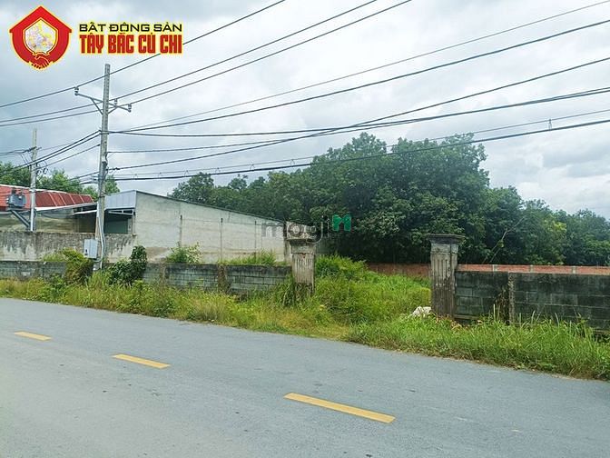 Hình ảnh Bán đất đường Cây Gõ - 1401m2 - 36x40 - 300m2 thổ cư - xã An Nhơn Tây