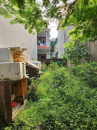 Hình ảnh Bán đất Xuân Đỉnh 60m ô tô quay đầu trước cổng,nhỉnh 4 tỷ xíu.