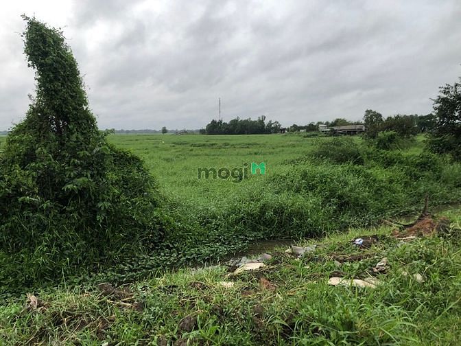 Hình ảnh Đất Hóc Môn rẻ hơn Củ Chi mt kênh trung ương 10200m2 chỉ 30 tỷ