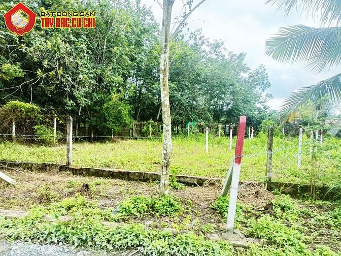 Hình ảnh Bán đất 1/ đường Trung Lập - 95m2 - 5.2x20 - 81m2 thổ cư - Củ Chi