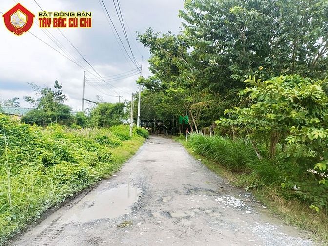 Hình ảnh Bán đất 1/ đường Trung Lập - 95m2 - 5.2x20 - 81m2 thổ cư - Củ Chi