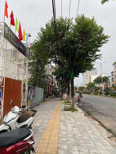 Hình ảnh Siêu bão đất nền Trung tâm tp Đà Nẵng sắp diễn ra trong tháng 10