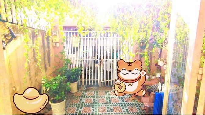 Hình ảnh Nhà phố. Đường Dương Bá Trạc. F1, Q8.