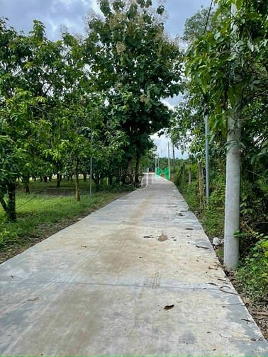 Hình ảnh Đất vườn + 100m thổ cư, vuông vức sẵn sổ, ngay KCN Định Quán