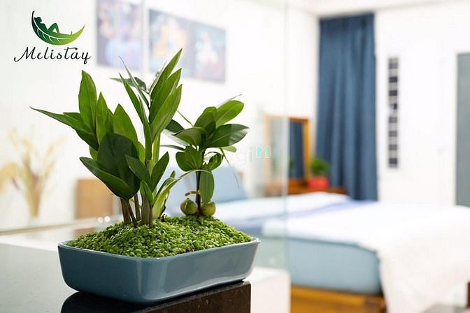 Hình ảnh Mb6623 nạp rút nhanh chóng trang bị nội thất cao cấp - sát bên phố đi bộ Quận 1