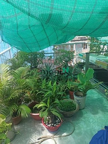 Hình ảnh Bán nhà CHDV hẻm 5m Q5 40m2 5tầng cho thuê 35tr/tháng