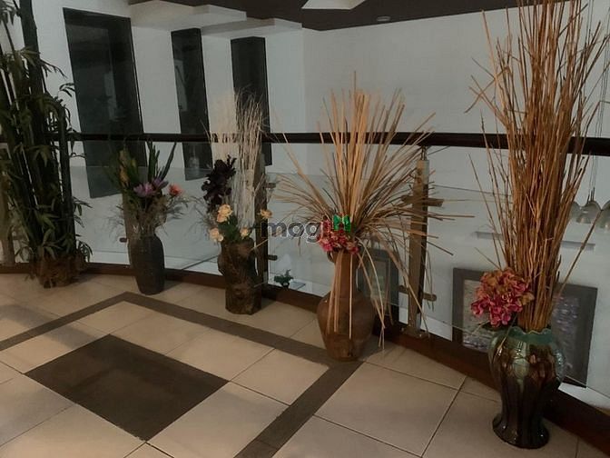 Hình ảnh Nhà Bà Hom Q.6 - 3.2tỷ/77m2 Full NT - Hẻm 5 m