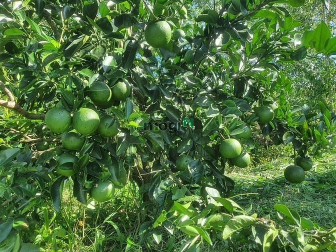 Hình ảnh Bán Đất La Ngà-Định Quán-View Hồ Trị An