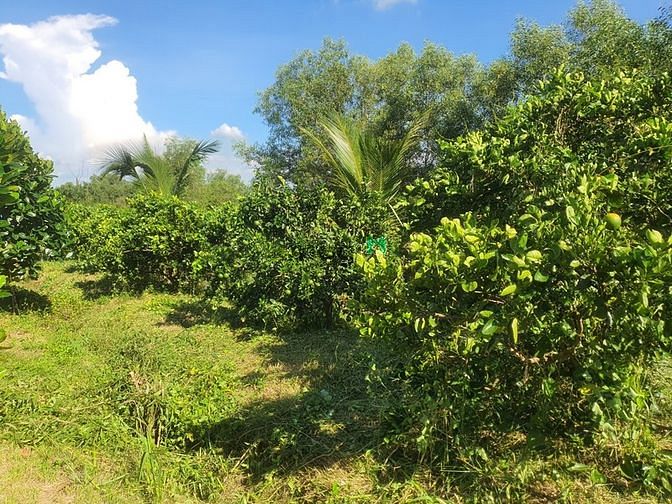 Hình ảnh Bán Đất La Ngà-Định Quán-View Hồ Trị An