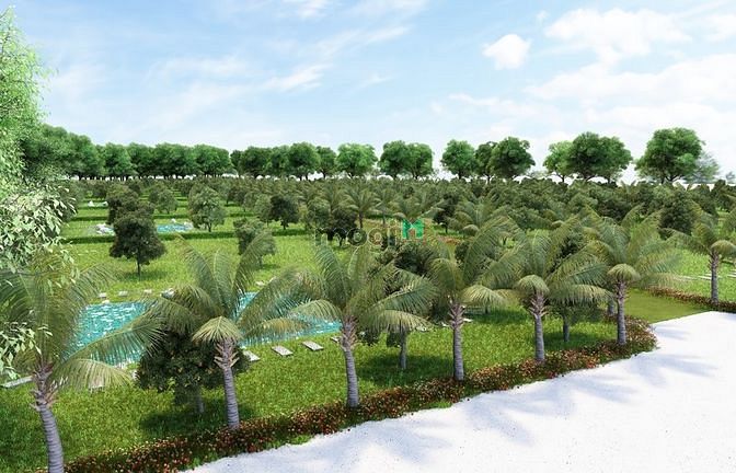 Hình ảnh Bán Đất Nhà Vườn Cẩm Mỹ-Đồng Nai
