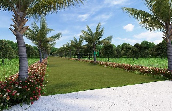 Hình ảnh Bán Đất Nhà Vườn Cẩm Mỹ-Đồng Nai