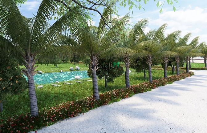 Hình ảnh Bán Đất Nhà Vườn Cẩm Mỹ-Đồng Nai