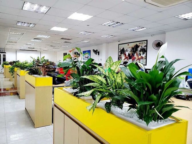 Hình ảnh Cho thuê tầng 1 toà cc Meco Complex 102 Trường Chinh
