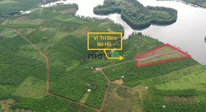 Hình ảnh Đất Nền Nghỉ Dưỡng View Hồ Cánh Bướm - Bảo Lâm - Lâm Đồng