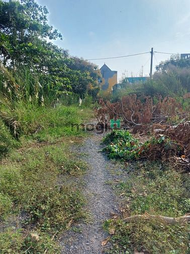 Hình ảnh Bán 1635m2 Mt 85m,Giá 11.5tr/m đất thổ cư , Bình Khánh, Cần Giờ,