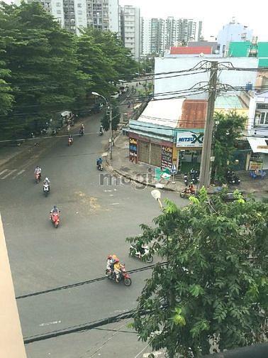 Hình ảnh đường CN11, p.Sơn Kỳ, Tân Phú. Giá 16,5Tỷ - 100m²