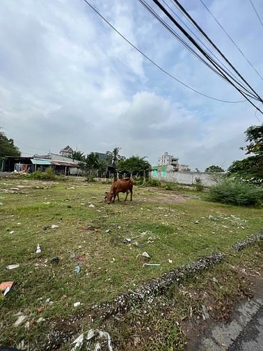 Hình ảnh Đất Mặt Tiền Phân Lô Bao Lời 893m2 Ful TC Xuân T Thượng HM Chỉ 25 Tỷ 8
